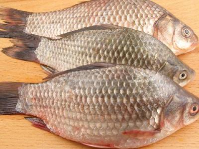 春季養生應怎么健康補血 春季補血不可信的三大傳聞