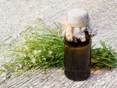 宮斗劇中的鶴頂紅真實存在嗎？它的毒性究竟如何