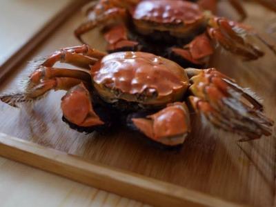 吃大閘蟹應該注意什么？一不小心就中毒了