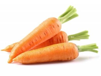 秋天吃什么蔬菜好？秋季養生應多吃這幾種蔬菜