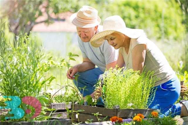 冬季養(yǎng)肺正當(dāng)時(shí)，適合老年人潤(rùn)肺止咳的食物推薦