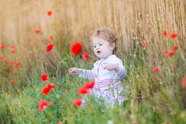 秋冬季養生專業知識！你知道幾條？