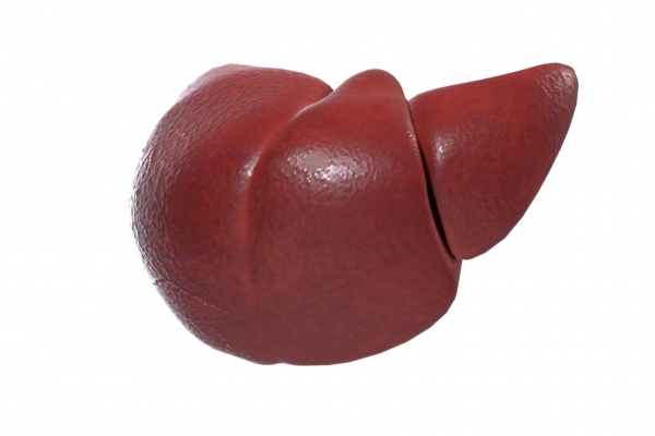 冬季如何養(yǎng)肝護(hù)肝