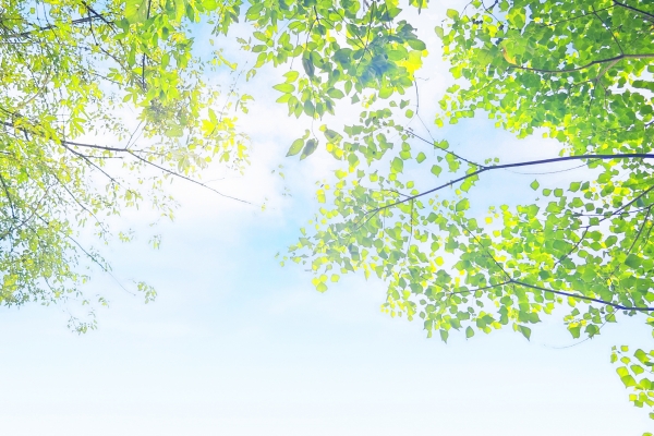 什么時候三伏天-易網(wǎng)健康<a href=http://www.gyfww.com/jkys/ target=_blank class=infotextkey>養(yǎng)生</a>網(wǎng) 什么時候三伏天