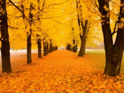 秋季養生的六個要點