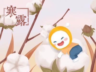 寒露是幾月幾號