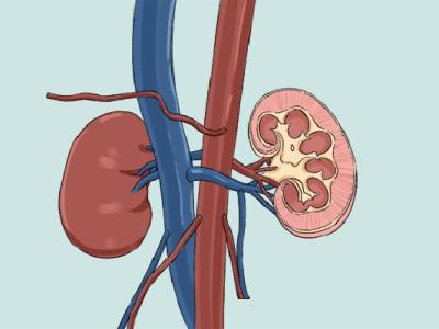 冬季怎么養(yǎng)腎補(bǔ)腎