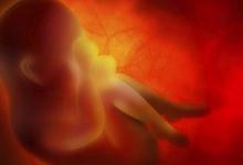 人生6大階段如何護(hù)眼