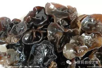 十種食物護眼抗輻射