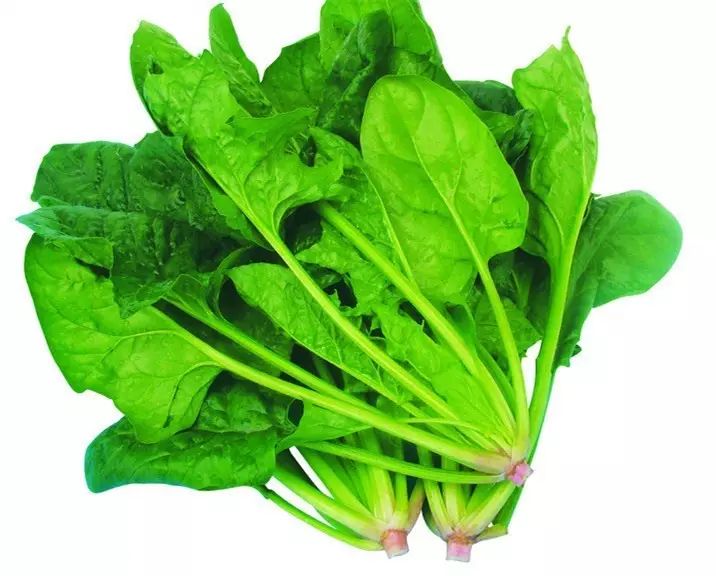 眼睛需要的營養排行榜