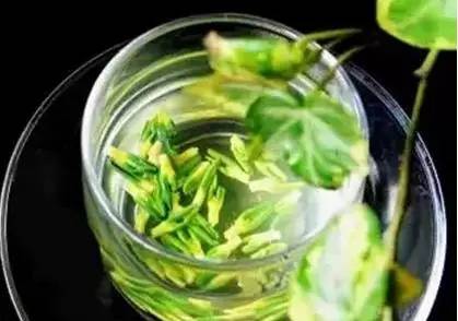 去火,你還只知道菊花茶嗎? 去火,你還只知道菊花茶嗎?