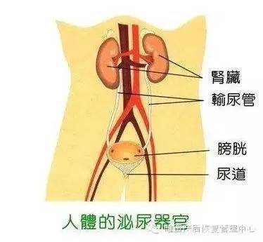 這些身體部位，不保養老的快