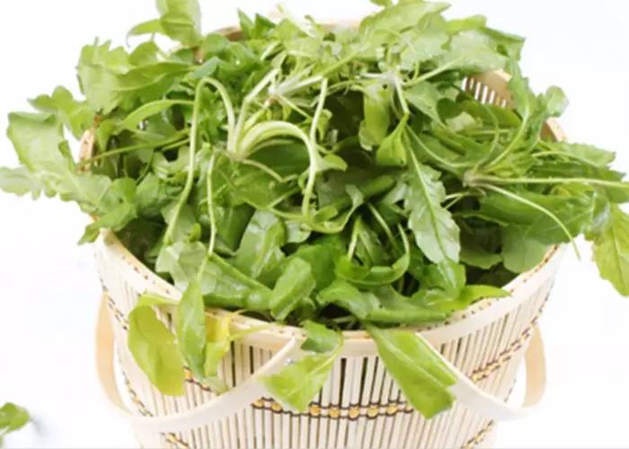 眼睛易疲勞？六種食物為您撐起保護傘！