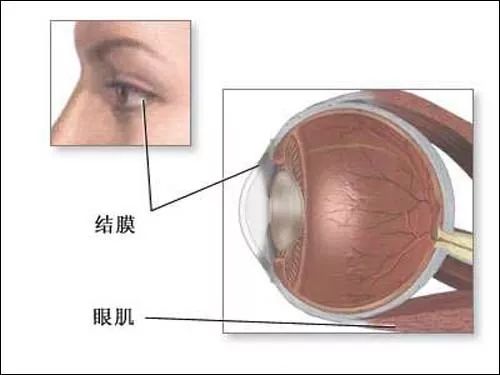 哪些才是眼科必查項目? 哪些才是眼科必查項目?