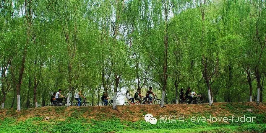 眼睛干澀、浮腫、疲勞、有血絲的護(hù)理小技巧！