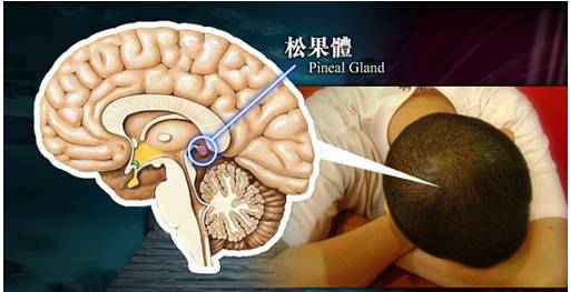 小小夜燈傷害的不僅僅是寶寶的眼睛！