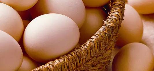 五種營養素讓孩子遠離近視眼