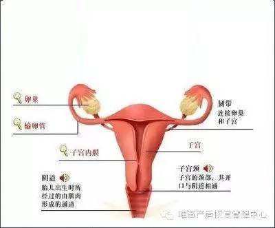 這些身體部位，不保養老的快