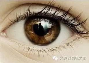 眼睛的十五個秘密，你知道嗎?