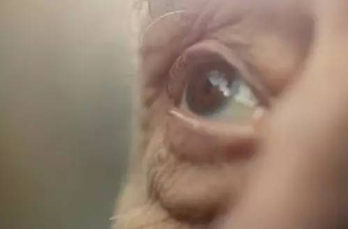 老年人日常護眼常用這六種方法