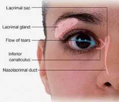 點眼藥水的正確步驟和姿勢 點眼藥水的正確步驟和姿勢