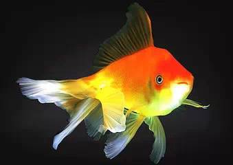 教你兩妙招巧防干眼癥