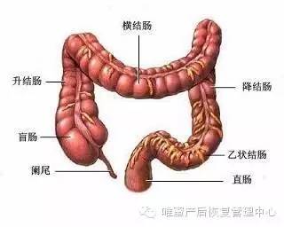 這些身體部位，不保養老的快