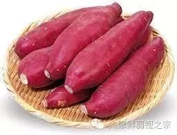 眼睛干澀疲勞，飲食與按摩兩步保健