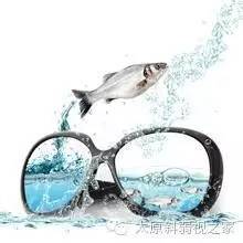 眼睛的十五個秘密，你知道嗎?