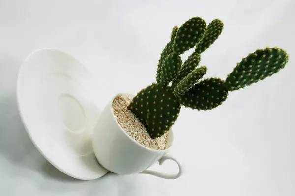 電腦、手機亮度該調多少才不傷眼睛?