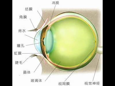如何預防角膜炎？