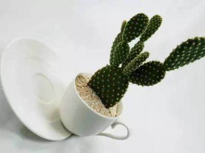 電腦、手機(jī)亮度該調(diào)多少才不傷眼睛?