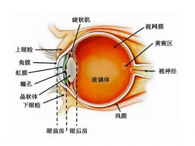 警惕！這樣給寶寶拍照會影響視力！