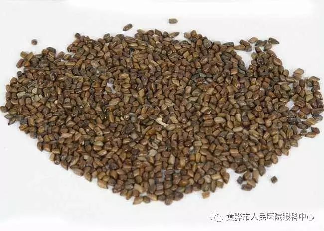 上班族多吃十種護眼明目食物