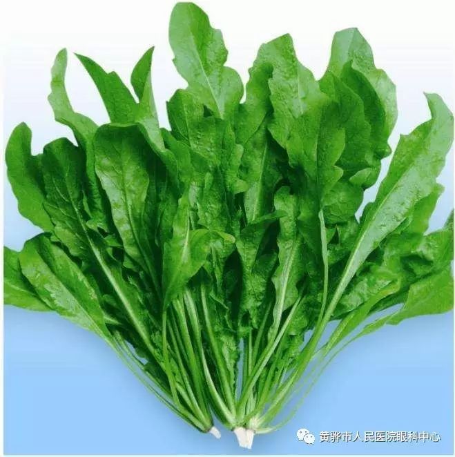 上班族多吃十種護眼明目食物