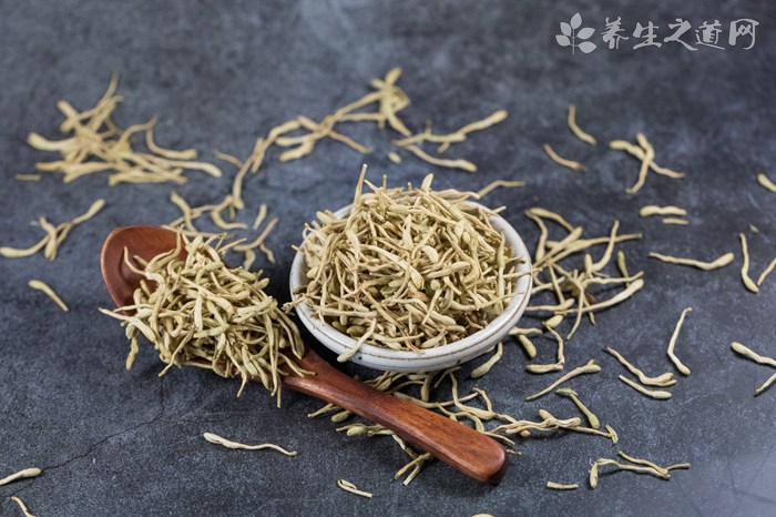 中藥知母的作用