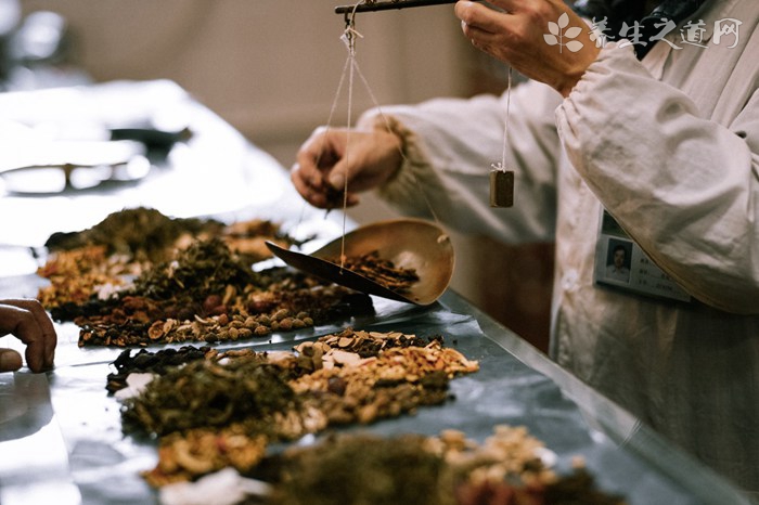 紅千層的藥用價值_紅千層的副作用