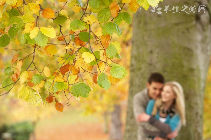 蚊蟲叮咬紅腫用什么藥-易網(wǎng)健康養(yǎng)生網(wǎng) 蚊蟲叮咬紅腫用什么藥