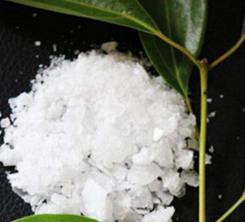 冰片的功效與作用及禁忌