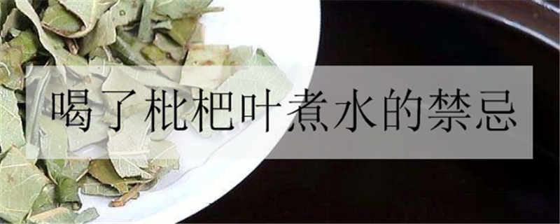 喝了枇杷葉煮水的禁忌