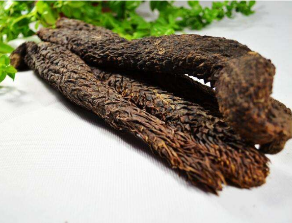 （10種除濕效果最好的中成藥）除濕效果最好的中成藥