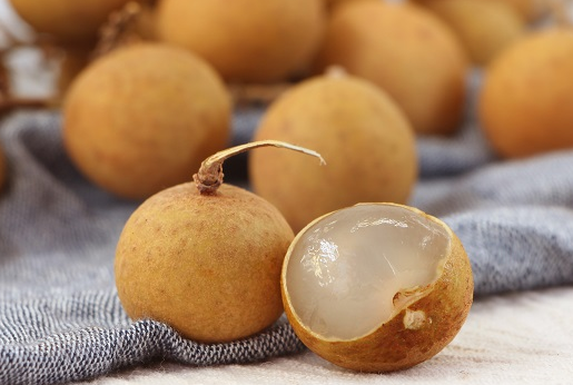 龍眼核的功效與作用-易網(wǎng)健康<a href=http://www.gyfww.com/jkys/ target=_blank class=infotextkey>養(yǎng)生</a>網(wǎng) 龍眼核的功效與作用