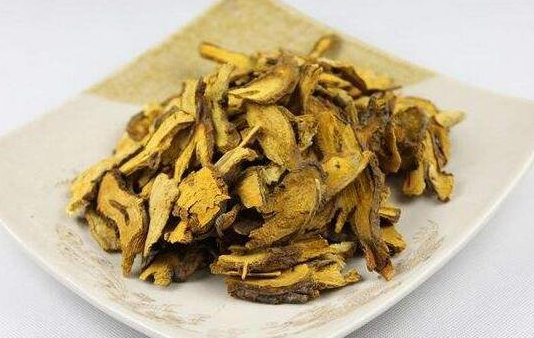 虎杖的功效與作用