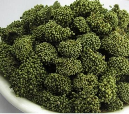 三七的功效與作用及禁忌