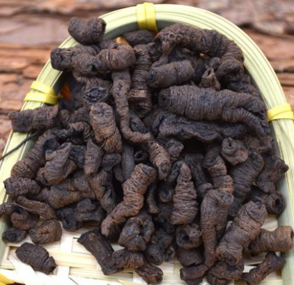 鹽巴戟天的功效與作用及禁忌