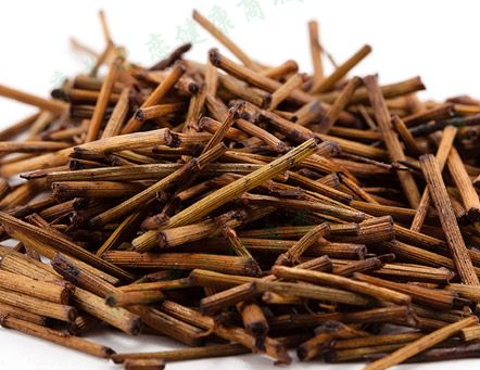 蜜麻黃的功效與作用_禁忌-易網(wǎng)健康<a href=http://www.gyfww.com/jkys/ target=_blank class=infotextkey>養(yǎng)生</a>網(wǎng) 蜜麻黃的功效與作用_禁忌