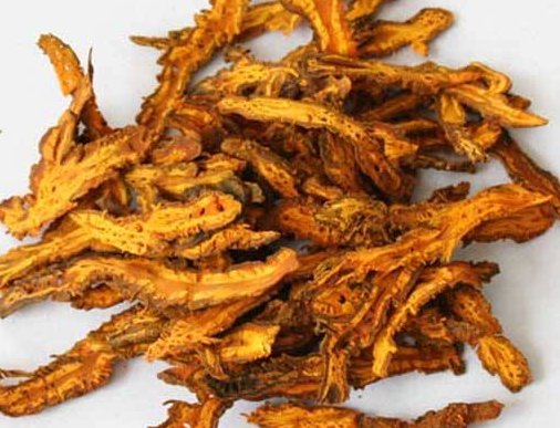 黃連的功效與作用及禁忌