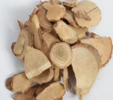 烏藥的功效與作用及禁忌_副作用及食用方法