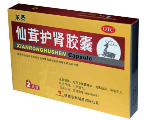 仙茸護腎膠囊功效與作用