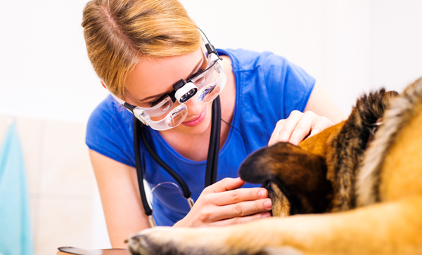 女性去濕氣最快的方法